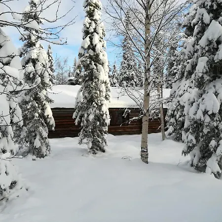 Villa Chalet Tunturipollo *